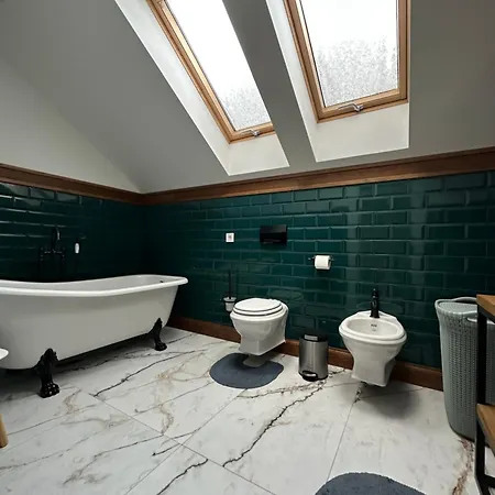 семибарвиця Apartment Mykulychyn