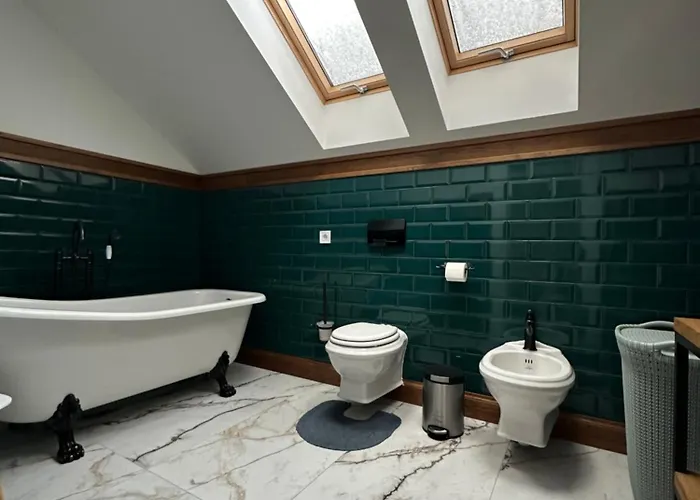 семибарвиця Apartment Mykulychyn